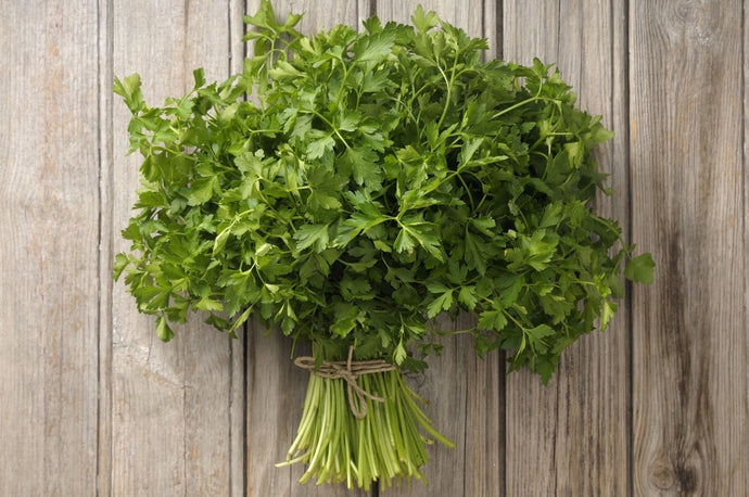 8 Health Benefits and Uses of Parsley